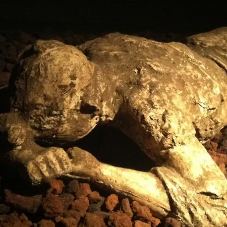 Ξενοδοχείο με διαμερίσματα Villa Flora 3*